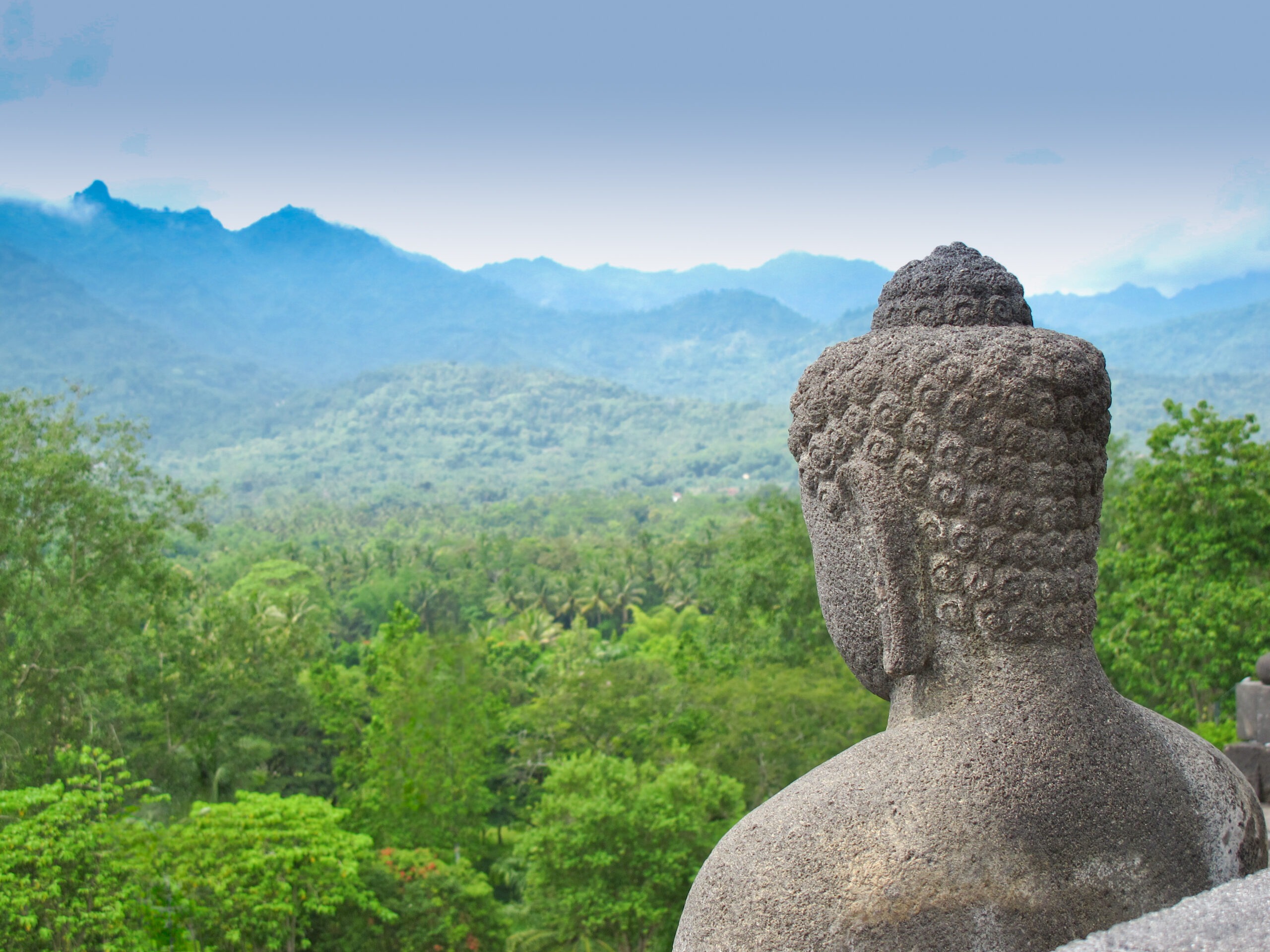 Rear View of a Stone Buddha Statue Overlooking a Lush Green Valley and Mountains