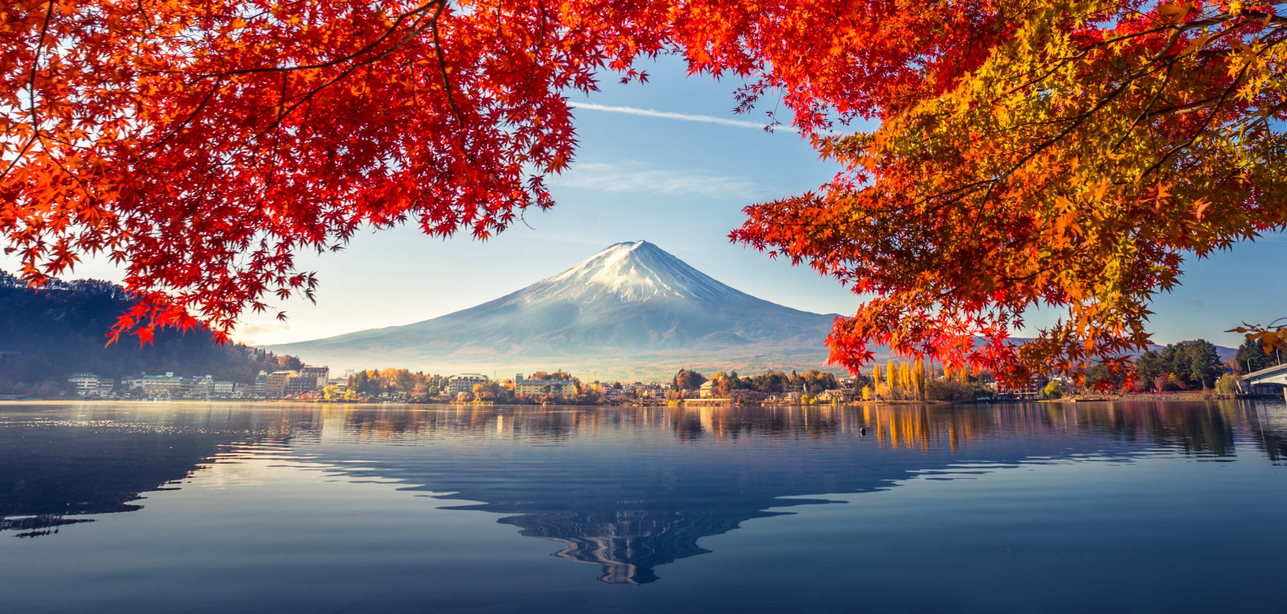 Colorful Autumn Season and Mountain Fuji with Morning Fog